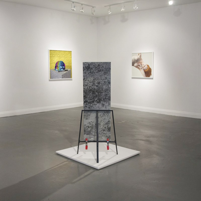 Simulators II — Angell Gallery, Toronto, Canada — 2014